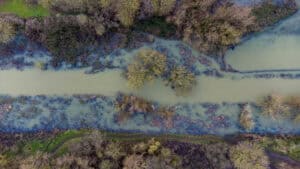 Natural Flood Management: EA Research Deep Dive & Analysis