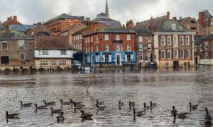 What Is the Flood Map for Planning