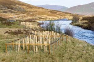 UK Tree Planting Shortfall Weakens Flood Resilience