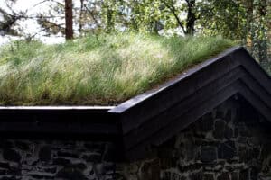 Green SuDS: Nature-Based Drainage in Modern Planning