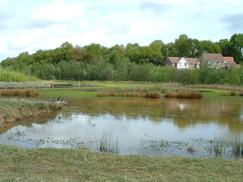 Gatwick Stream balancing ponds in Maidenbower, Crawley