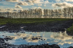 Soils, Flooding and Resilience | World Soil Day