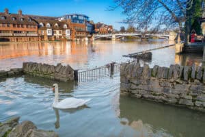 Does the Jubilee River Increase Downstream Flood Risk