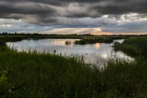 ow lying wetland landscape in the Fens with open water, reeds and storm clouds showing flood prone terrain