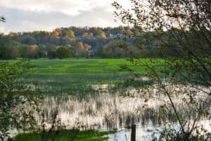 Flooded field and wetland landscape showing natural water storage in a catchment-scale flood resilience context.