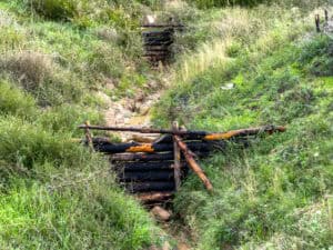 Leaky dams built from logs spanning a grassy upland channel to slow the flow and hold water back.