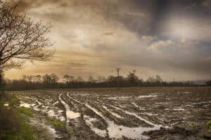 Waterlogged farmland with rainwater pooling in the furrows, showing surface water flooding as a planning constraint.