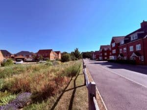 Vegetated SuDS swale beside a new-build residential street, an above-ground infiltration feature used within the SuDS hierarchy.
