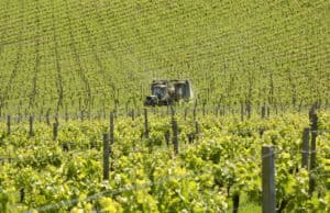 Tractor working through vine rows in a water-stressed South East vineyard, a backdrop to water neutrality in planning.