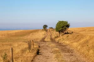 Sun-scorched, drought-baked grassland with dry cracked ground, the parched conditions that trigger burst water mains.