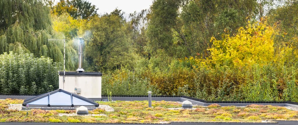 Sedum green roof with a flue and rooflight, a sustainable drainage feature the SuDS strategy template records for a planning application.