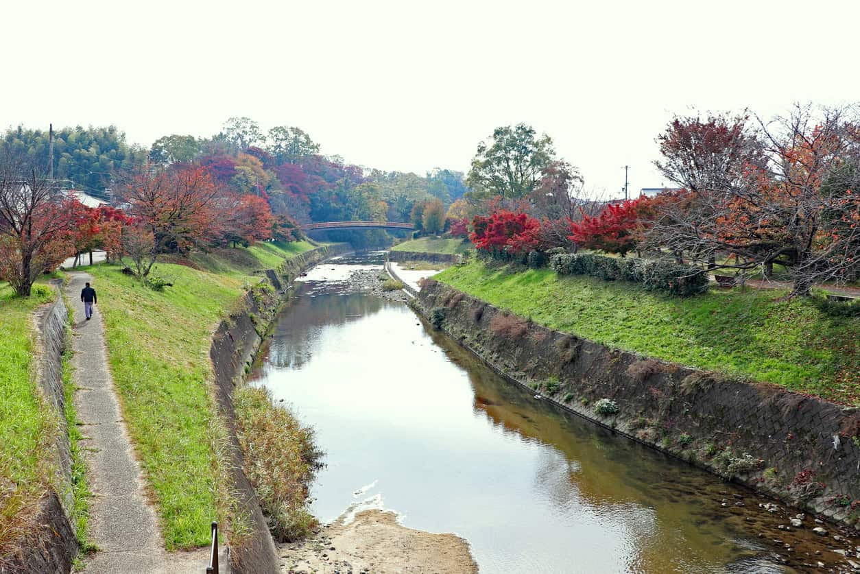 Japanese river held in a hard-revetted channel with mown grass berms above, the continuous-bank approach that replaced the open levee.