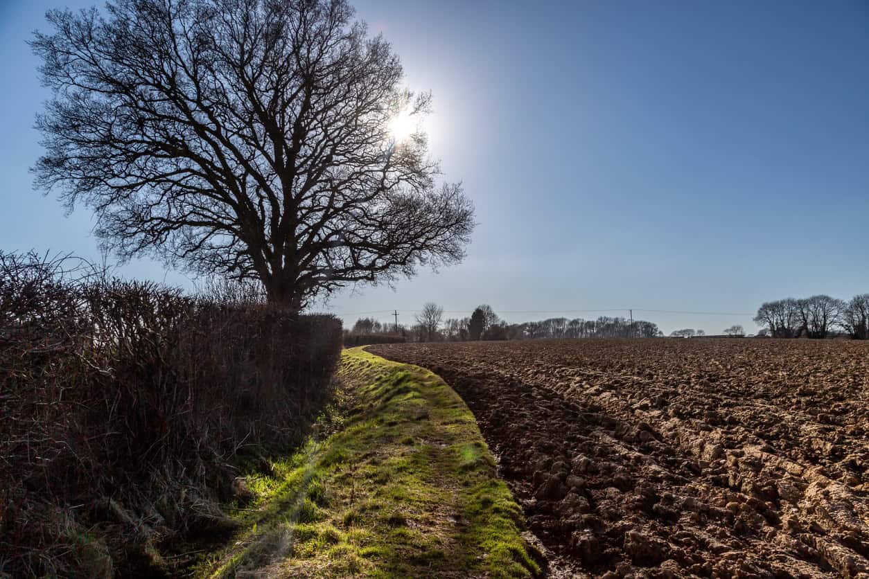 Winter sun over a ploughed arable field and hedge-line margin, the typical setting for land drains on a development site.