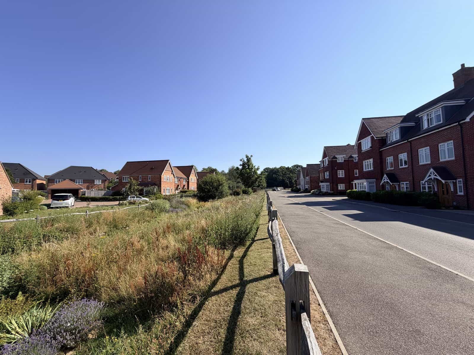Planted SuDS basin beside an estate road in a Surrey village, part of the setting for a new build purchase village flood hotspots review.