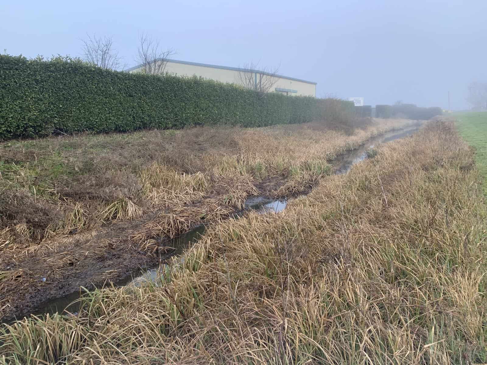 An overgrown ditch in the pumped fen, the drainage beyond the boundary in a cold store purchase in Flood Zone 3.