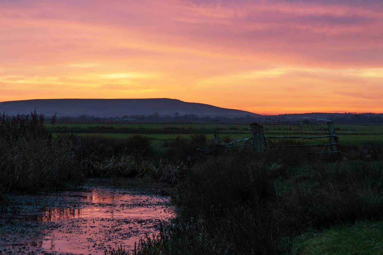 Pevensey Levels, a Natural England SSSI, at dusk with a reed-fringed ditch and wet grazing marsh.