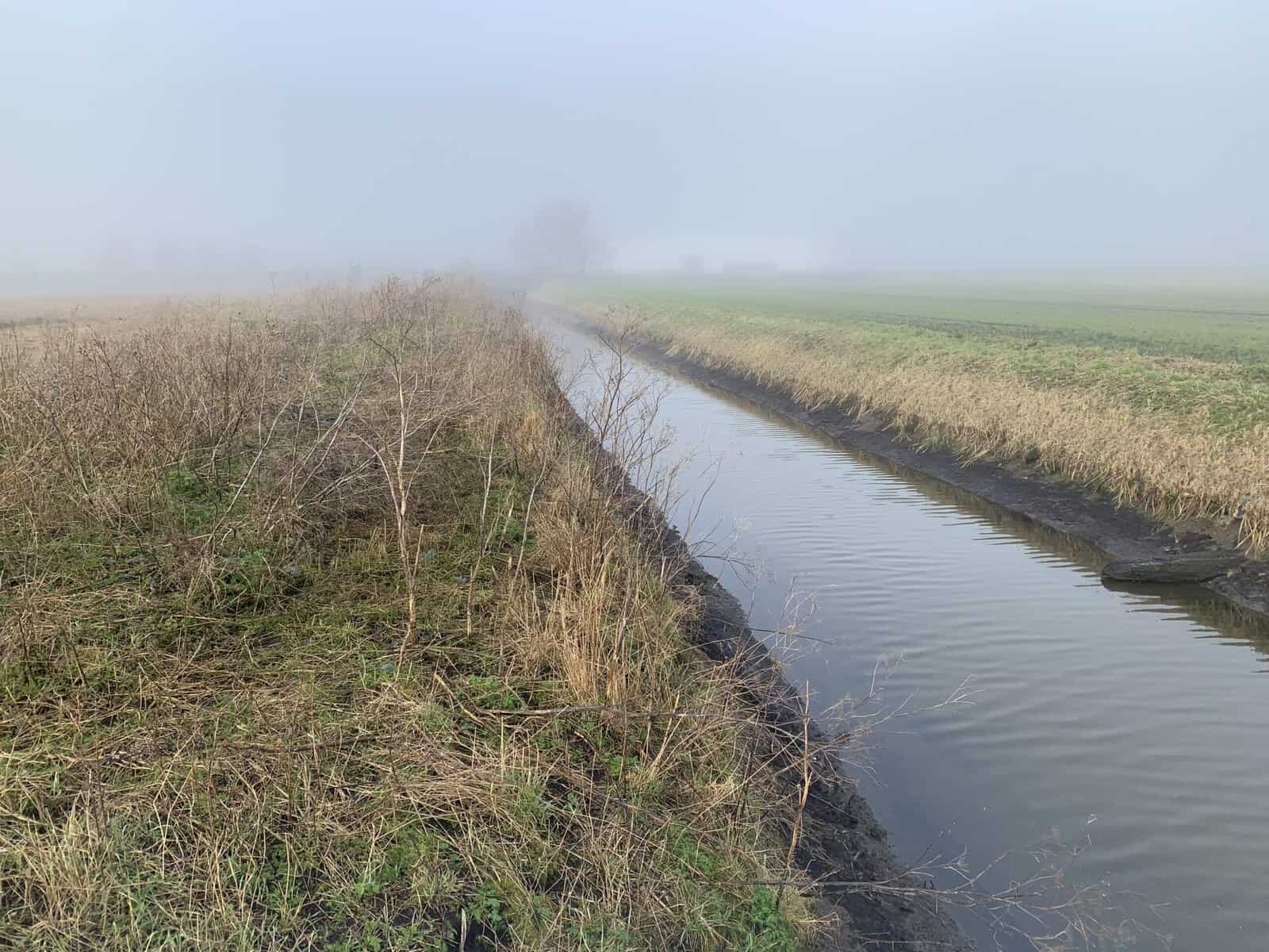 A maintained drain in the pumped fen, part of the system assessed for a cold store purchase in Flood Zone 3.