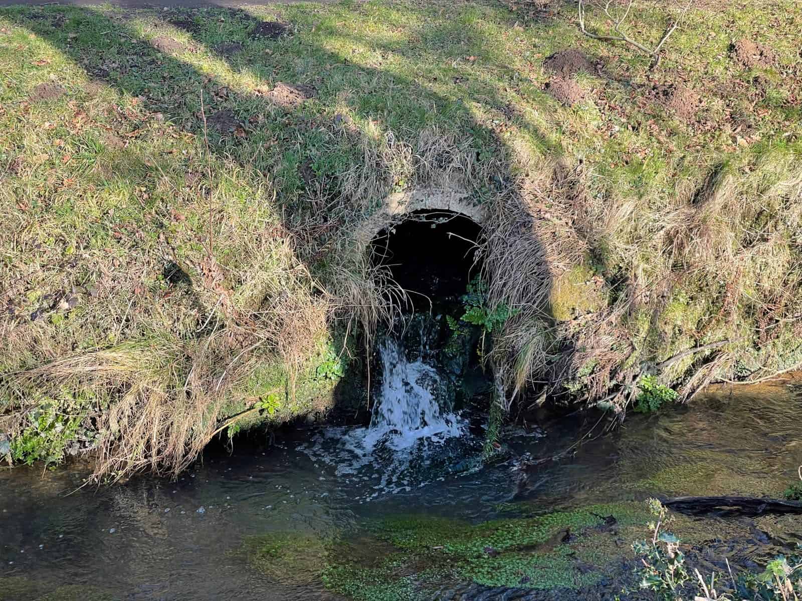 Pipe culvert outlet discharging into a shallow stream through a grassy bank, showing what is a culvert at its downstream end.