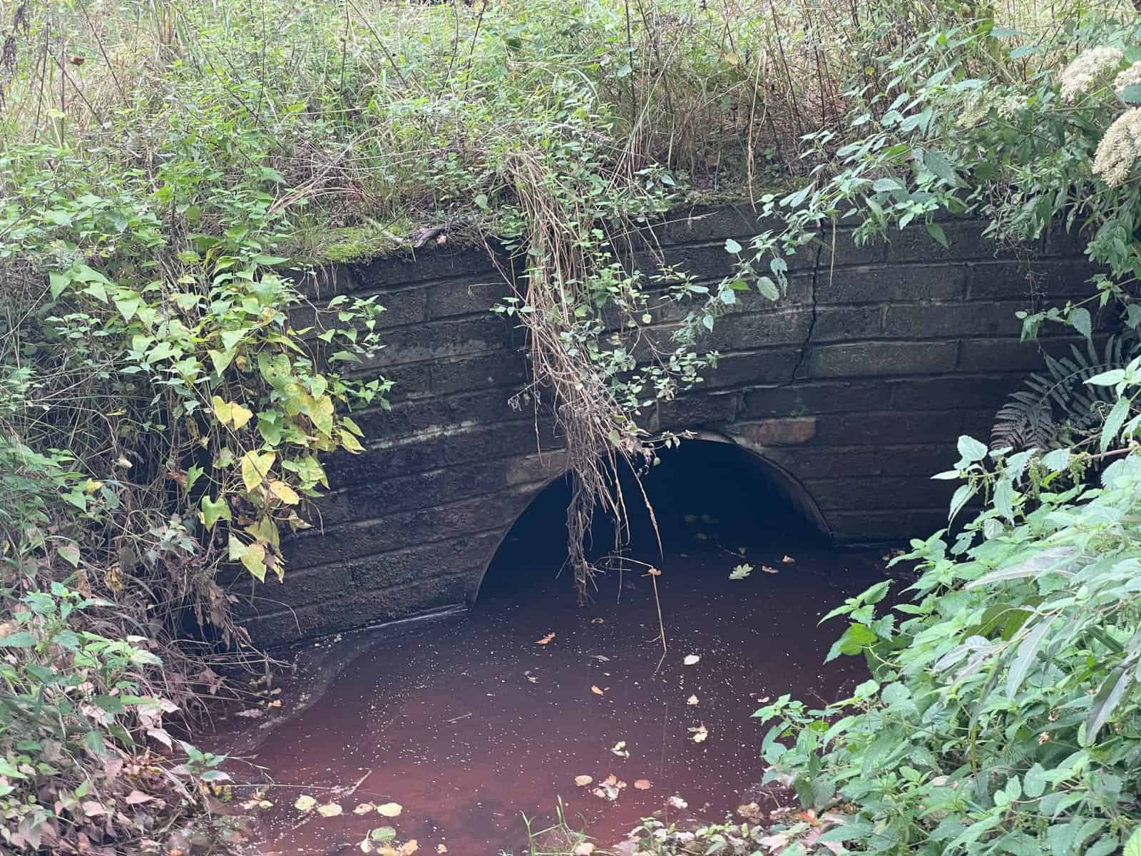 Masonry arch culvert carrying a discoloured stream beneath an overgrown bank, an example of what is a culvert in the UK.