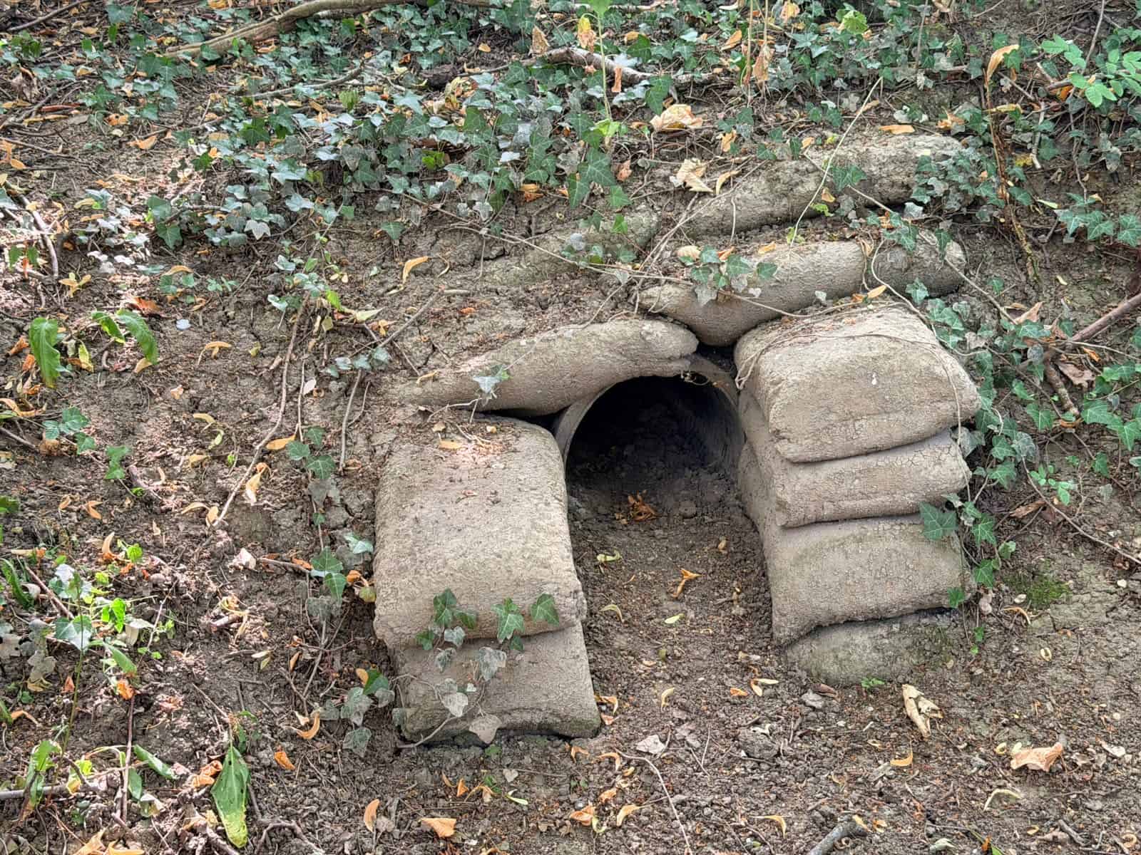 Small plastic pipe culvert set in a bagwork headwall in a dry woodland ditch, showing what is a culvert at its simplest.