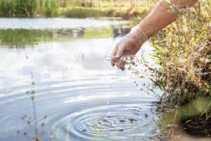 Gloved hand collecting a water sample from a water body for quality testing under the Water Framework Directive.